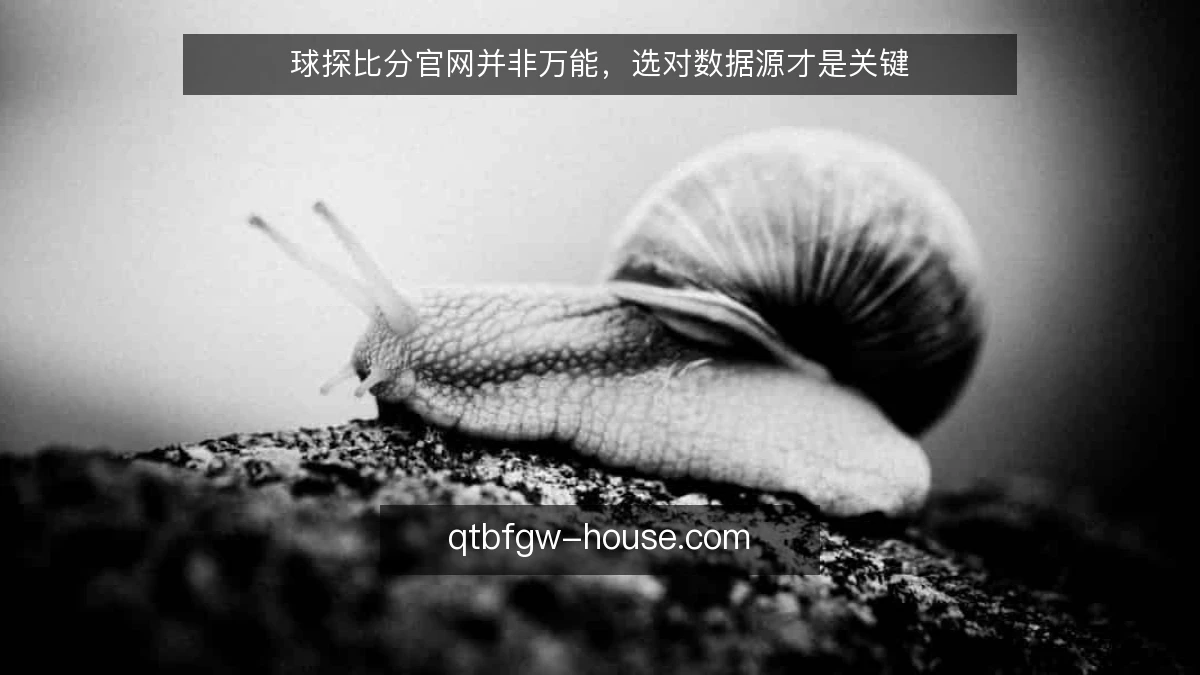 球探比分官网并非万能，选对数据源才是关键